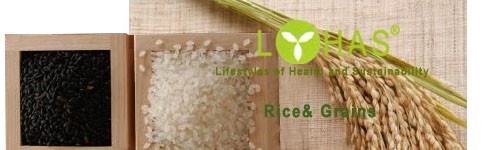Rice and Grains